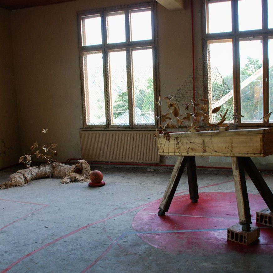 SPIRIT OF NATURE Gabrovtsi ART-NATURE Symposium 2015