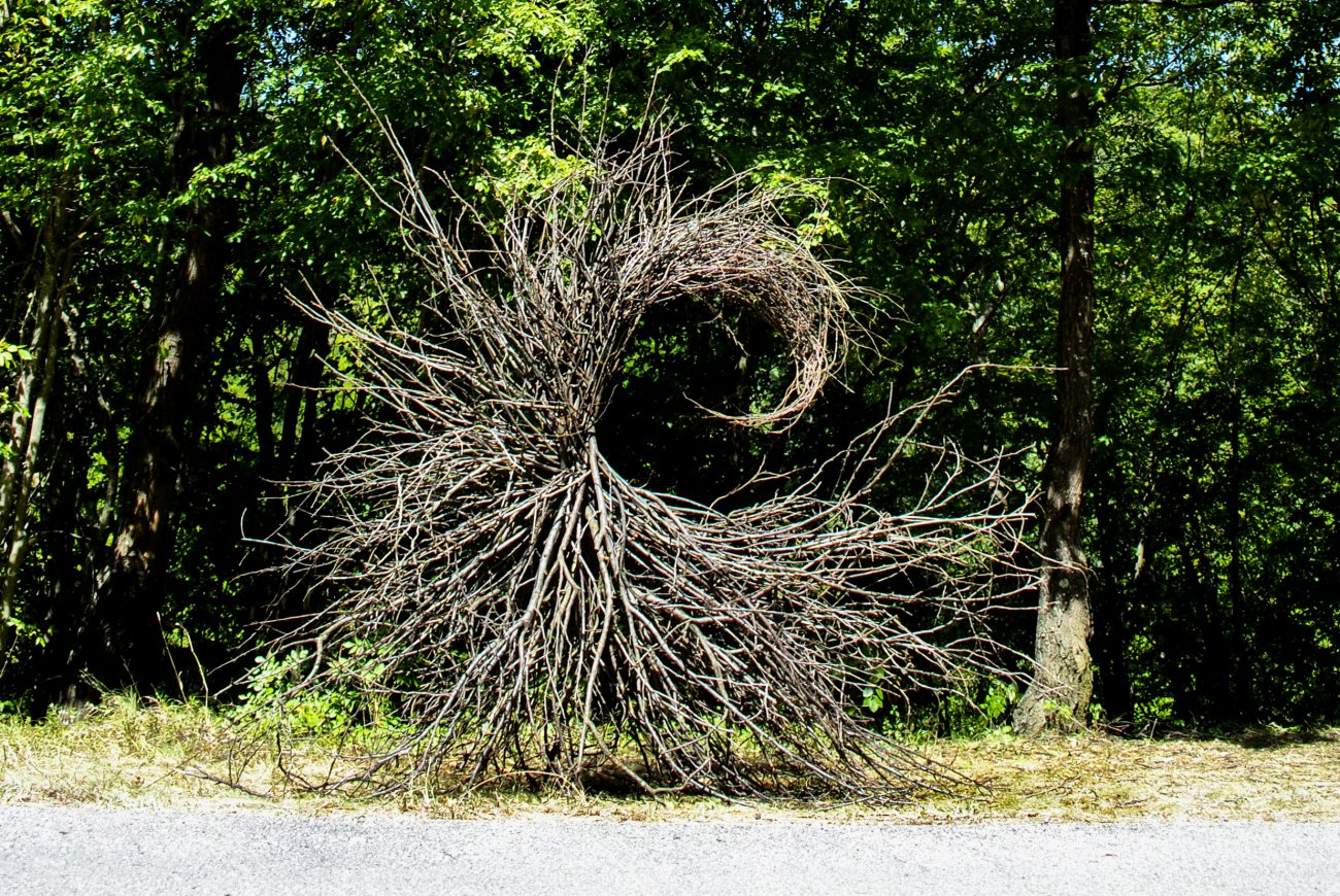 SPIRIT OF NATURE Gabrovtsi ART-NATURE Symposium 2015