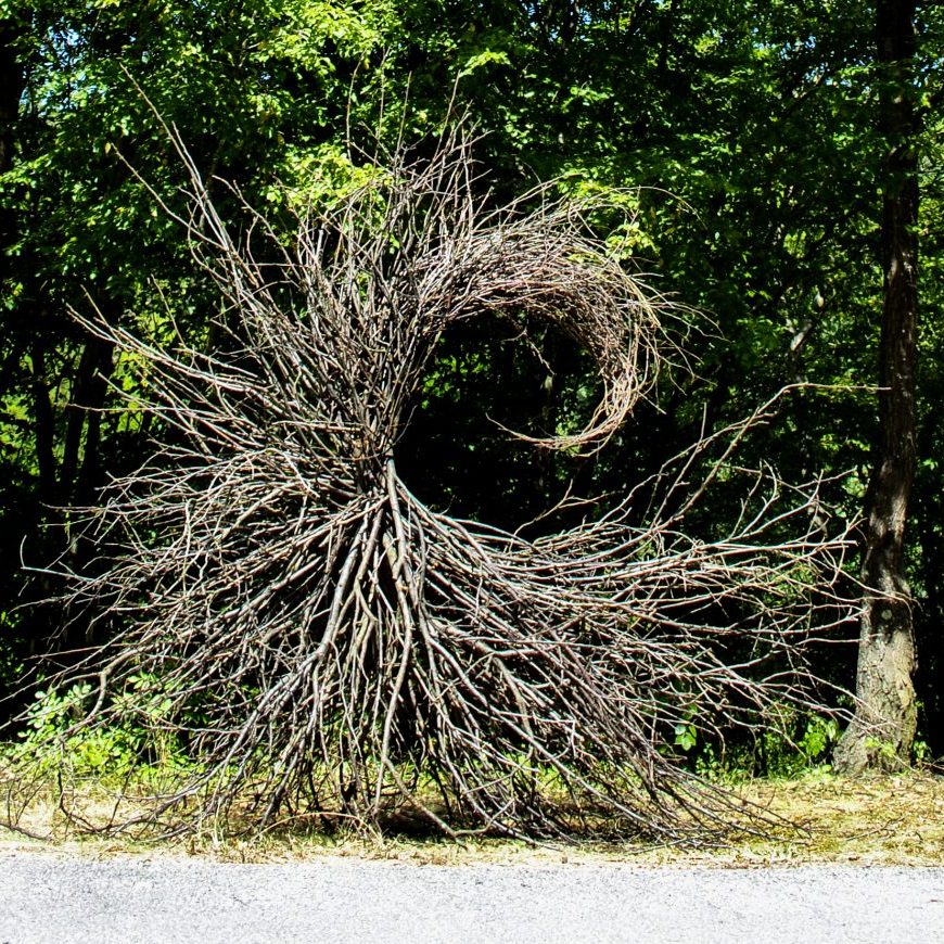 SPIRIT OF NATURE Gabrovtsi ART-NATURE Symposium 2015