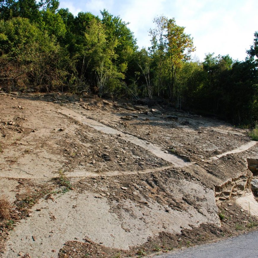 SPIRIT OF NATURE Gabrovtsi ART-NATURE Symposium 2015