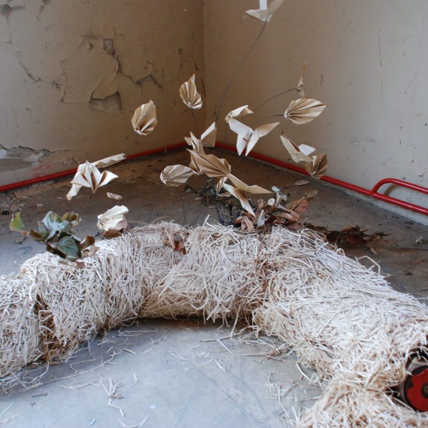 SPIRIT OF NATURE Gabrovtsi ART-NATURE Symposium 2015