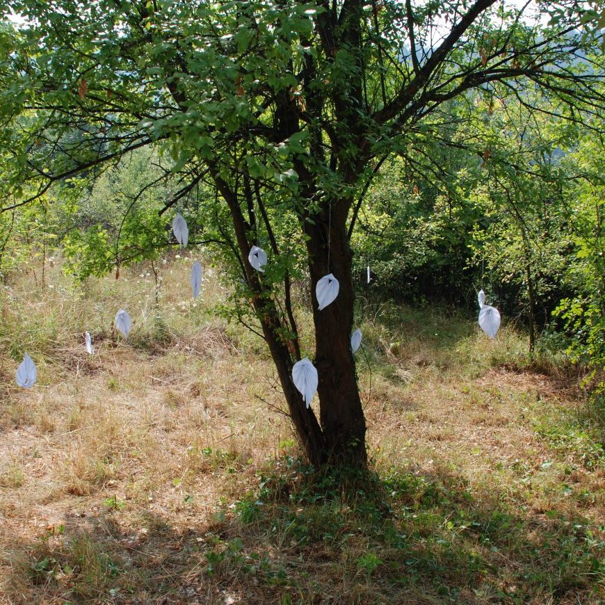 SPIRIT OF NATURE Gabrovtsi ART-NATURE Symposium 2015