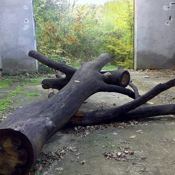 SPIRIT OF NATURE Gabrovtsi ART-NATURE Symposium 2015