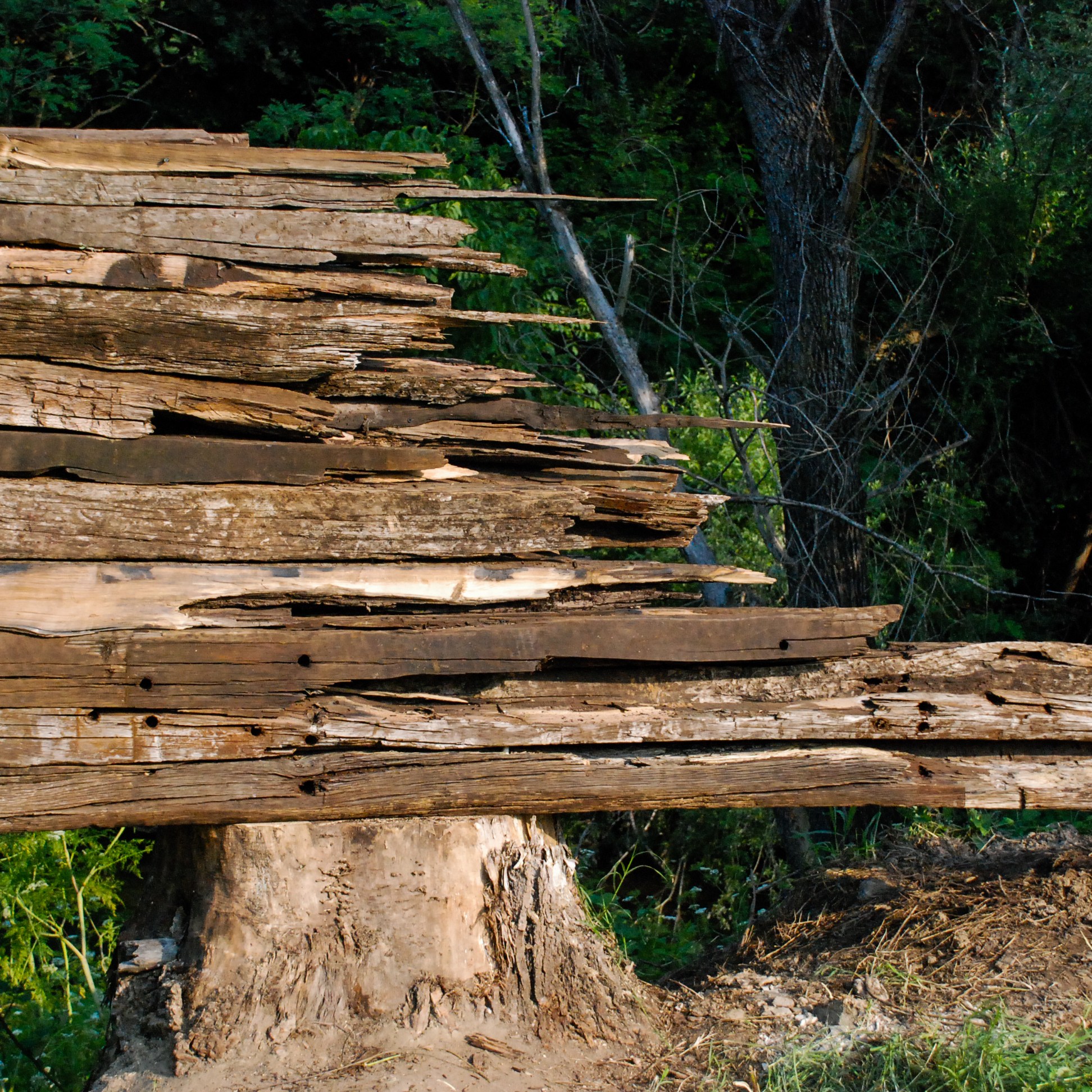 Румен Рачков, Gabrovtsi Art-Nature Symposium 2012