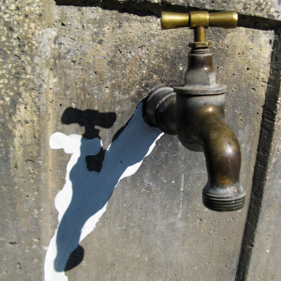 Цветелина Максимова, Gabrovtsi Art-Nature Symposium 2012