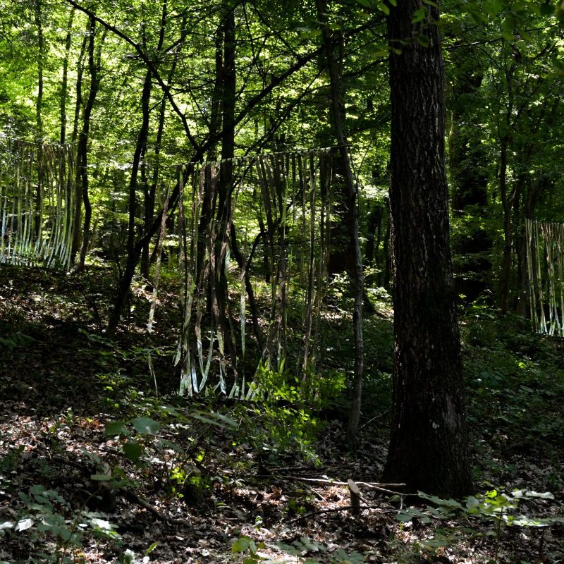 Xiao Li / Japan 2016