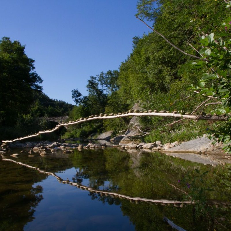 Roy Staab / USA 2016