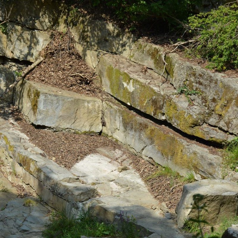 Цветелина Максимова 2016