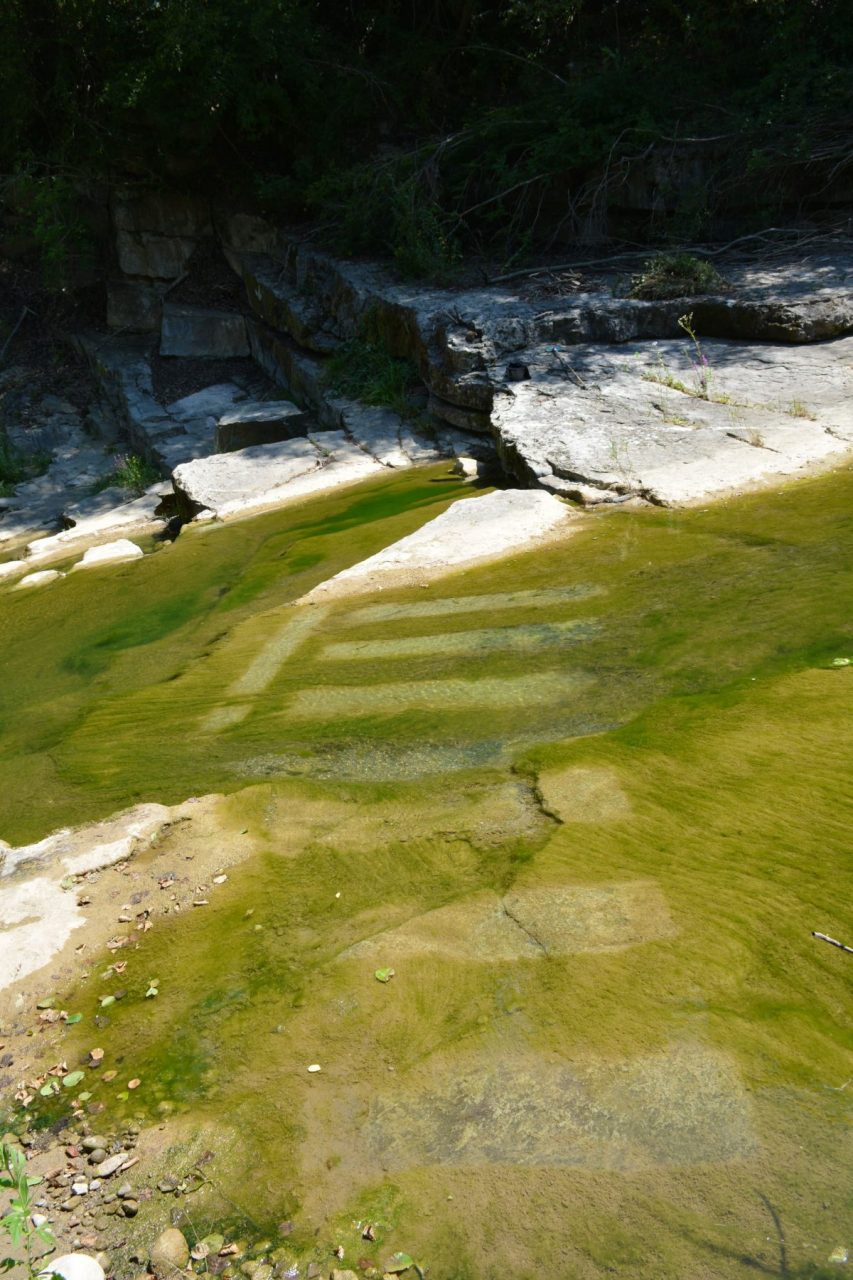 Yanitsa Fendulova 2016