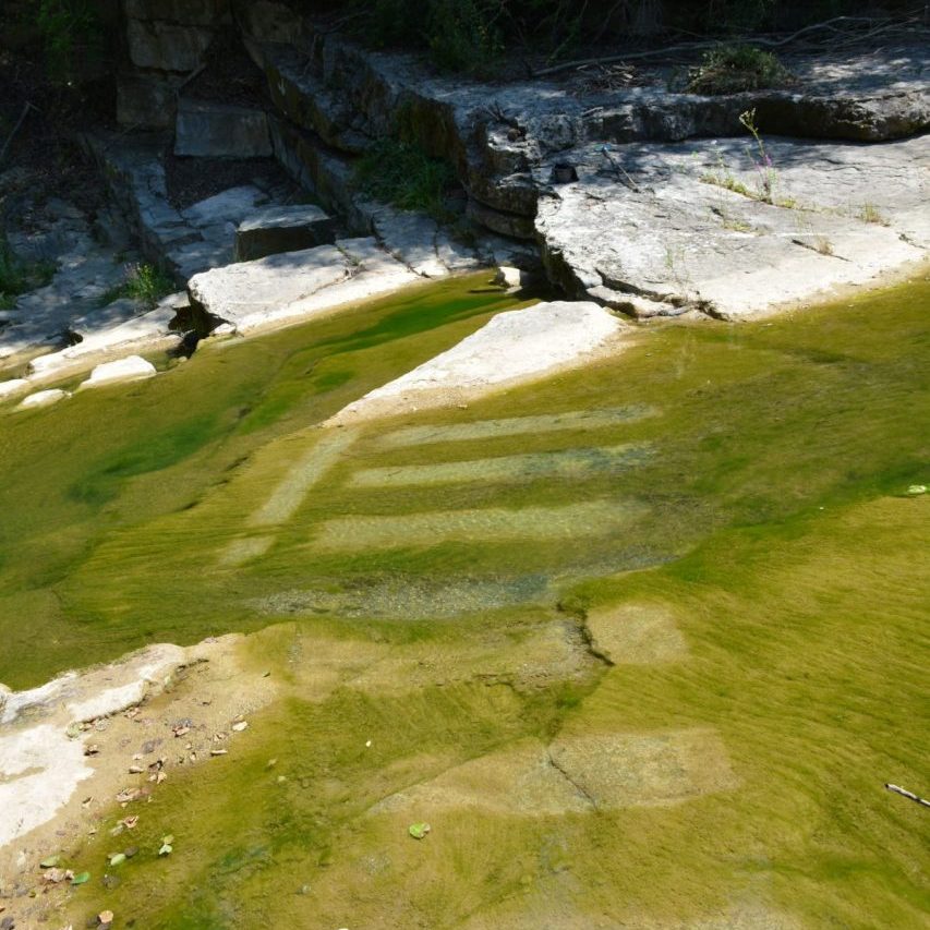 Yanitsa Fendulova 2016