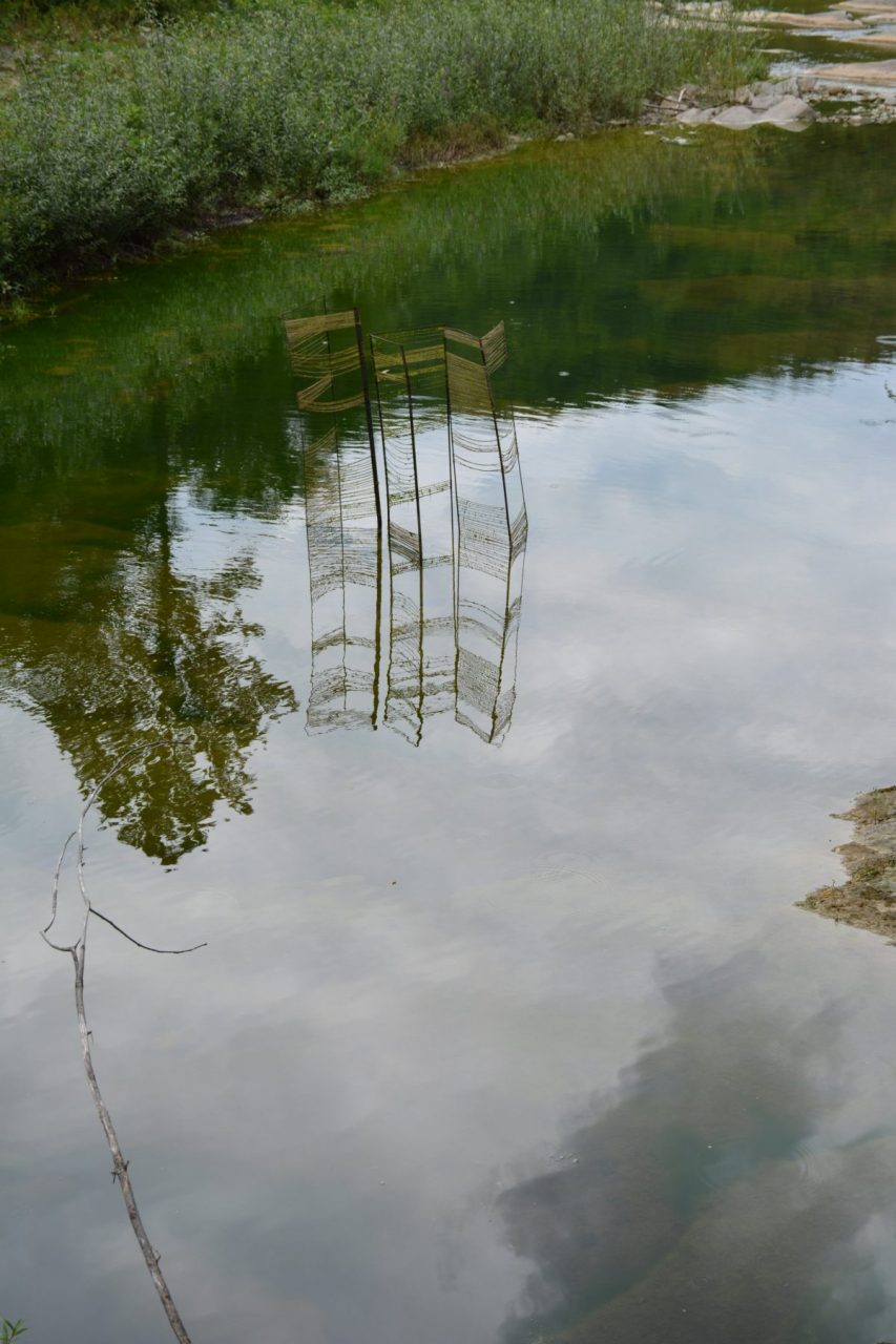 Yanitsa Fendulova 2016