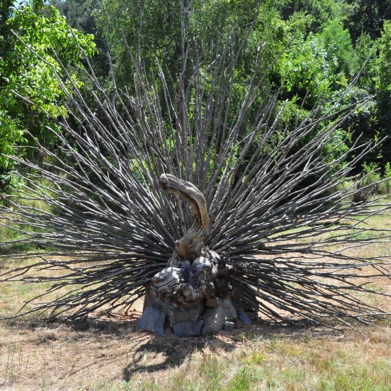 Kang Hee-Joon / S. Korea 2016