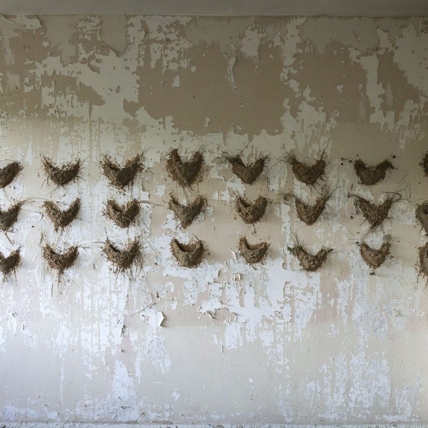 Gabrovtsi Art-Nature Symposium 2019