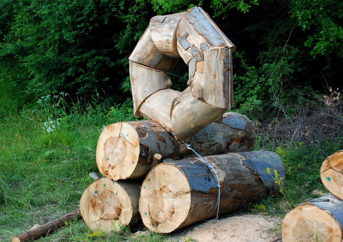 Георги Минчев, Gabrovtsi Art-Nature Symposium 2012