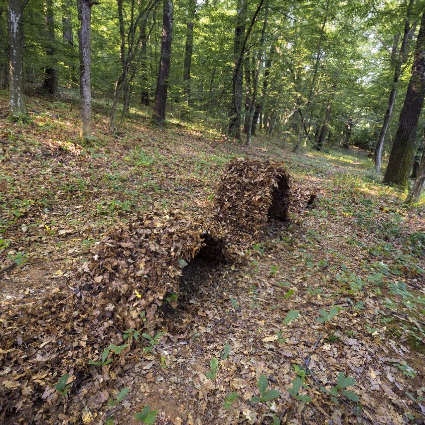 Gabrovtsi Art-Nature Symposium 2019
