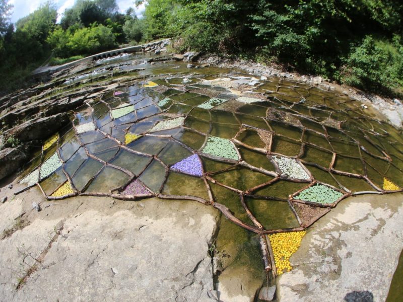 Репортаж с три&nbsp;мухи