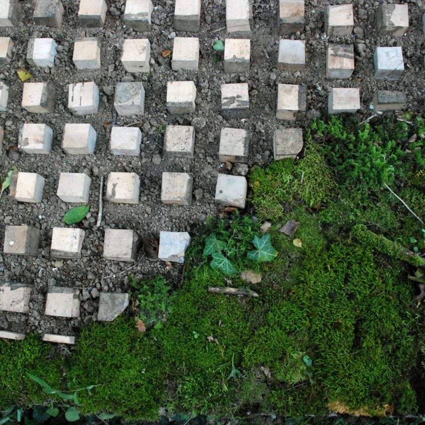 Tzvetelina Maximova DUPPINI member Цветелина Максимова ДУПИНИ