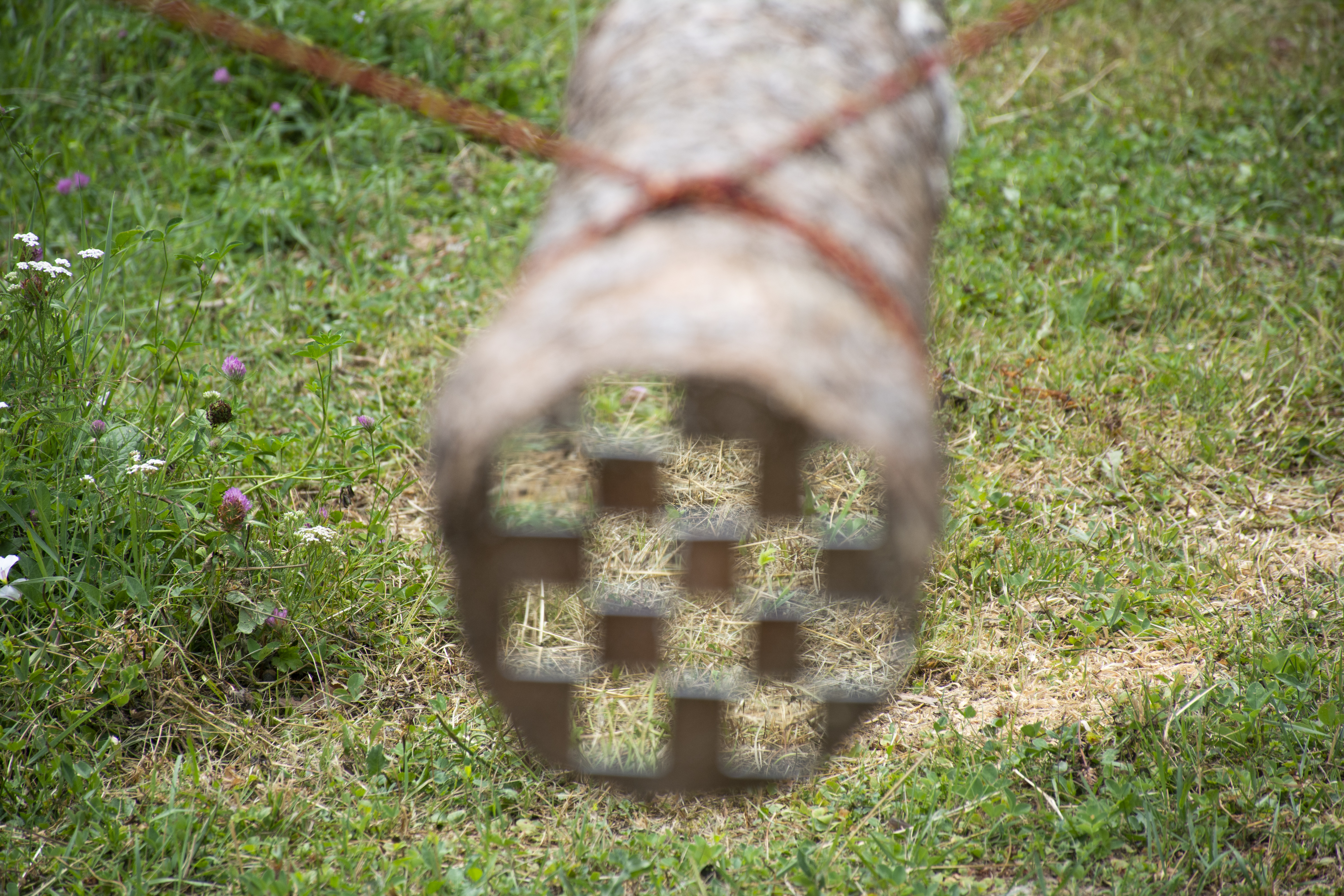 Gabrovtsi Art-Nature Symposium 2021