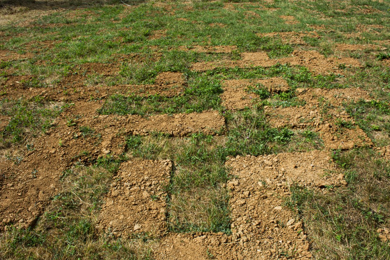 Gabrovtsi Art-Nature Symposium 2021