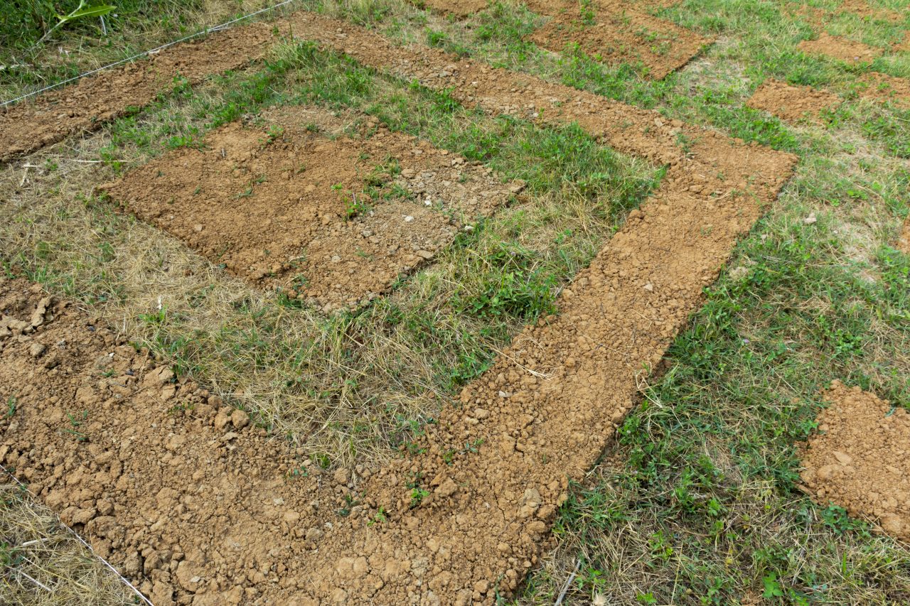 Gabrovtsi Art-Nature Symposium 2021