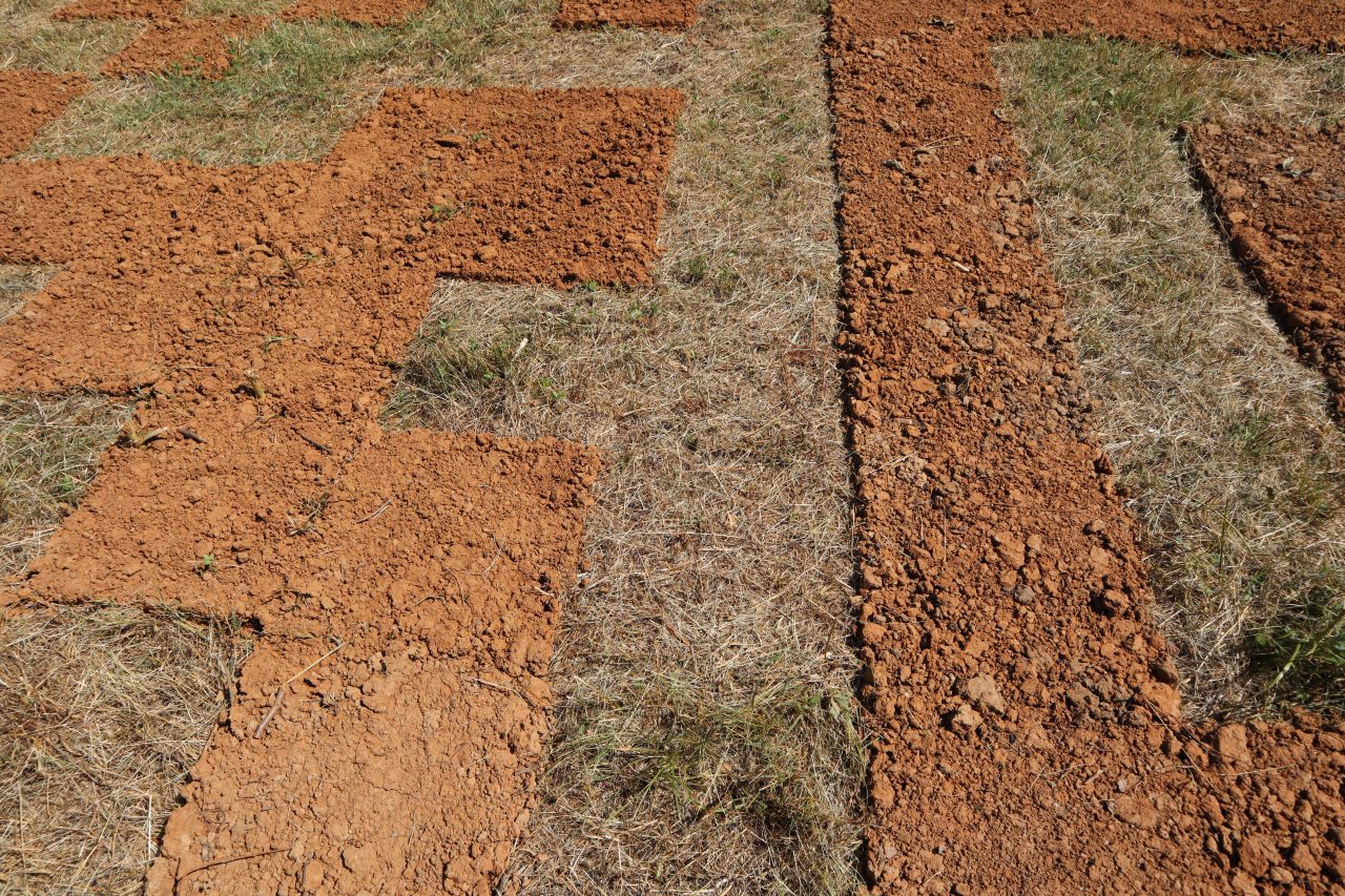 Gabrovtsi Art-Nature Symposium 2021