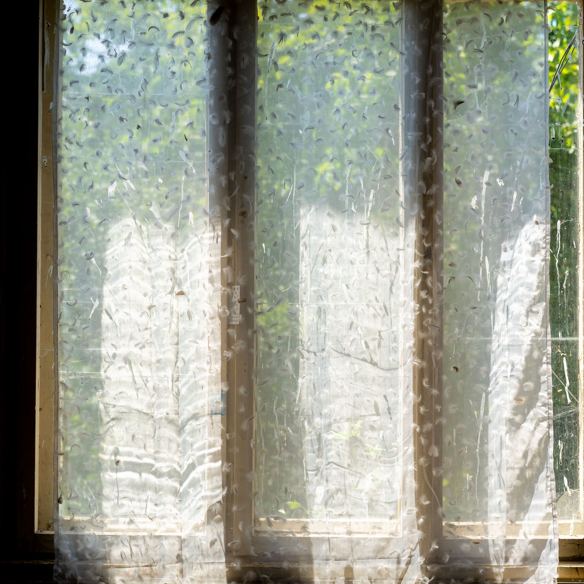 Gabrovtsi Art-Nature Symposium 2021