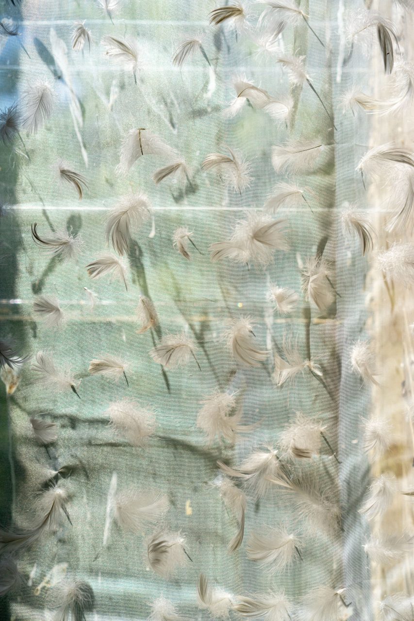 Gabrovtsi Art-Nature Symposium 2021