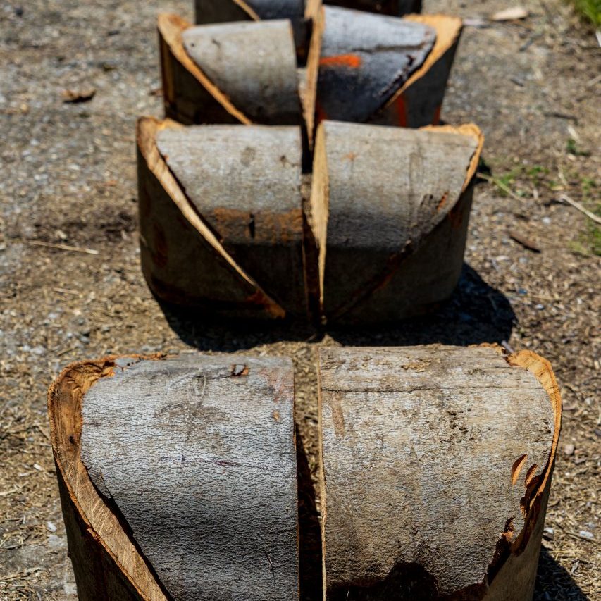 Gabrovtsi Art-Nature Symposium 2021