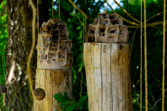 Gabrovtsi ART-NATURE Symposium 2021