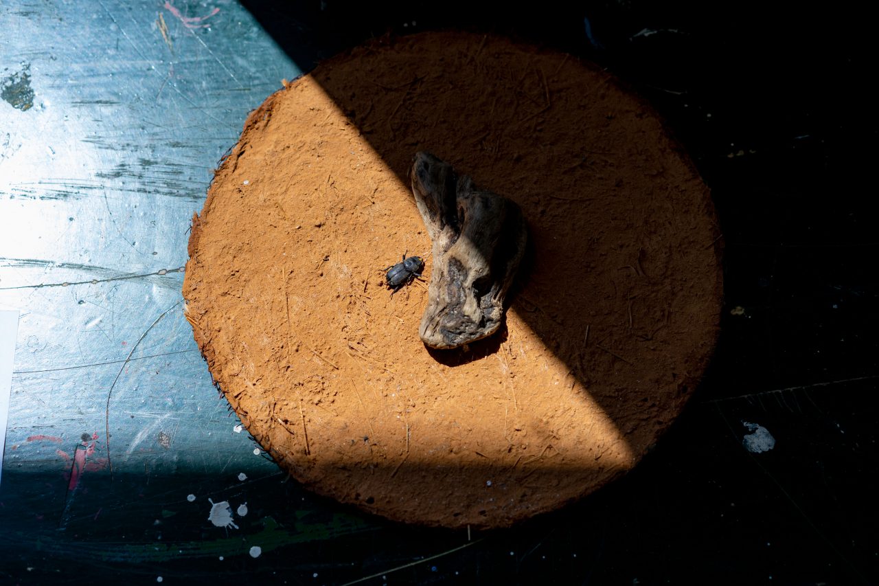 Gabrovtsi Art-Nature Symposium 2021