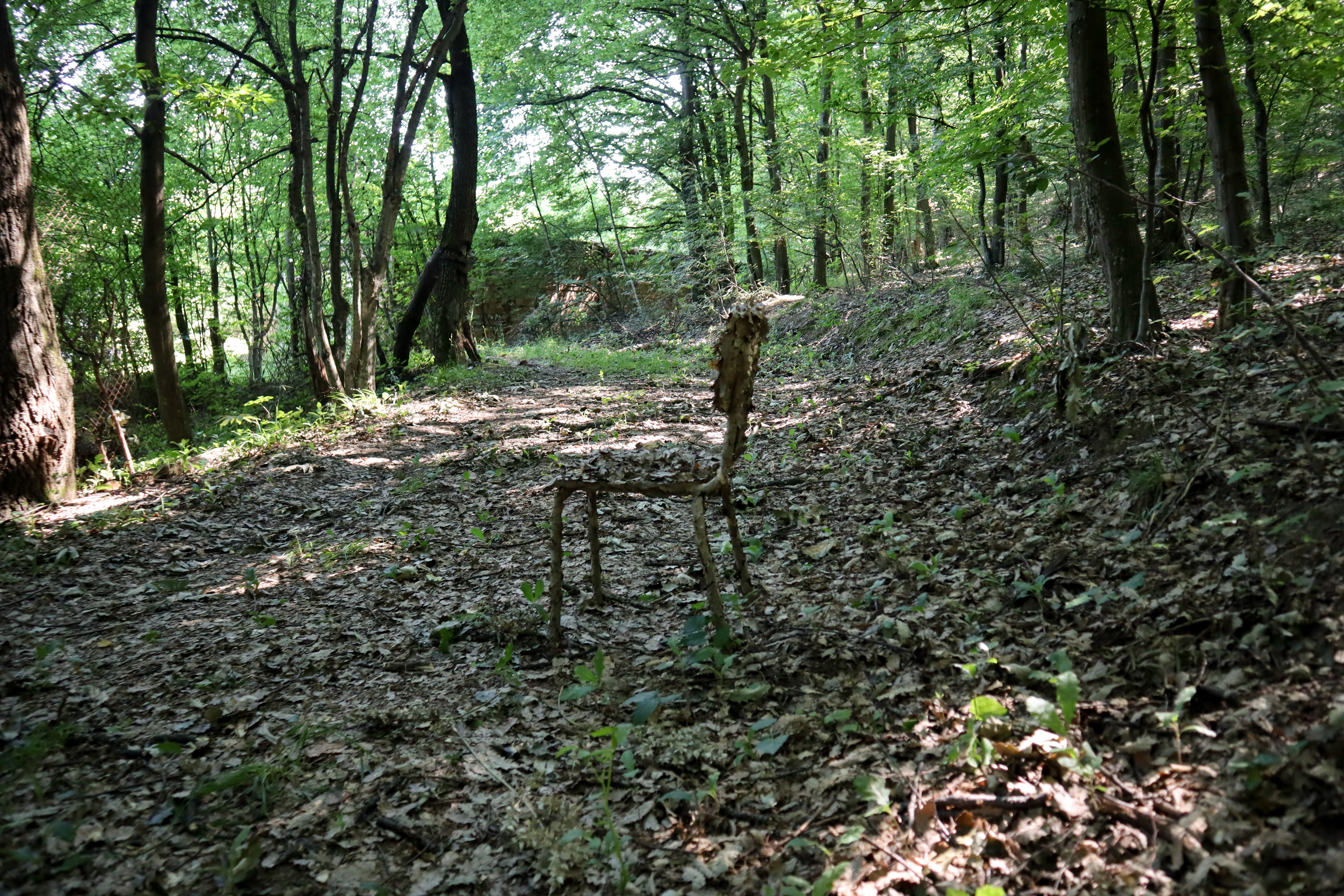 Gabrovtsi Art-Nature Symposium 2021