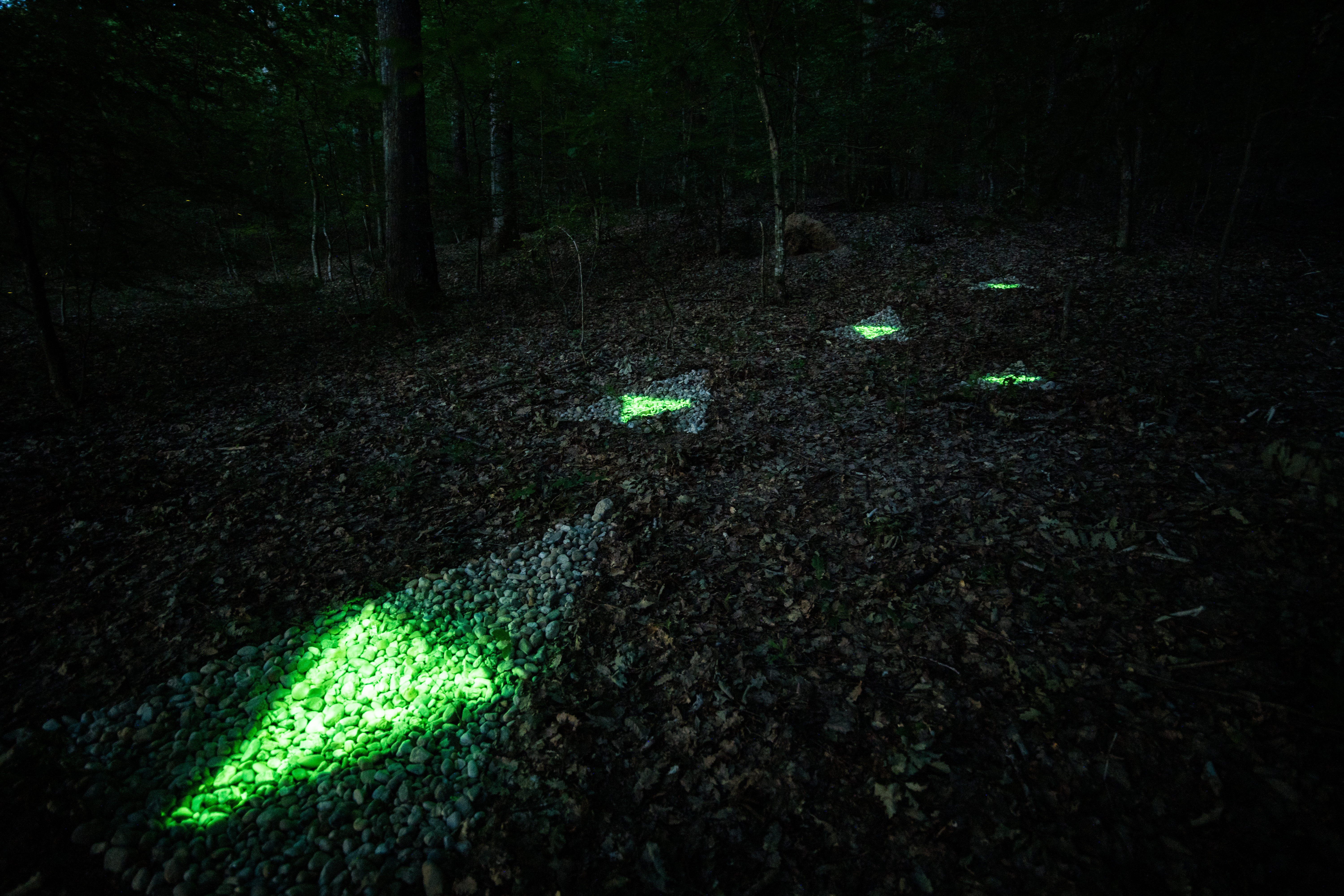 Gabrovtsi Art-Nature Symposium 2021