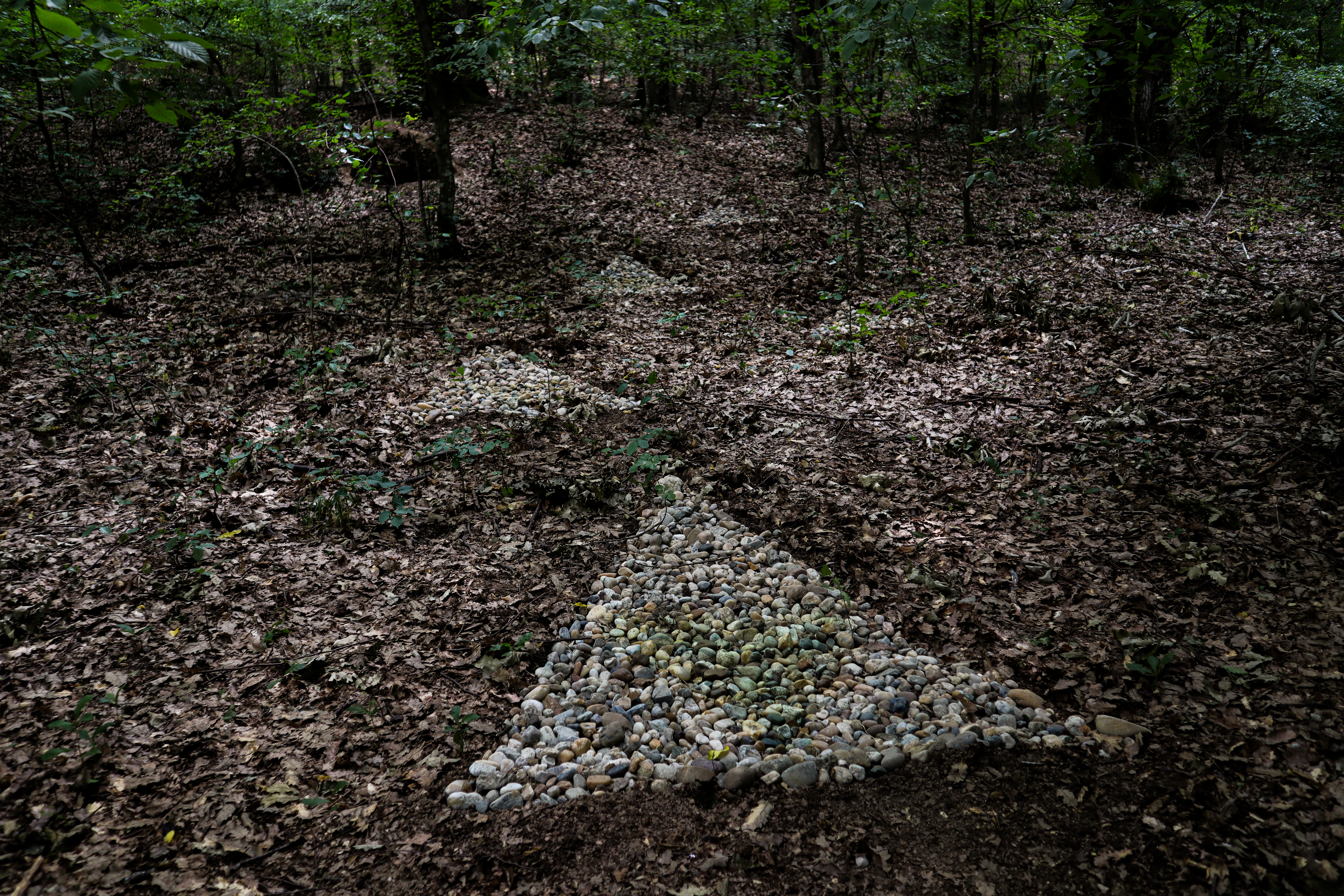 Gabrovtsi Art-Nature Symposium 2021