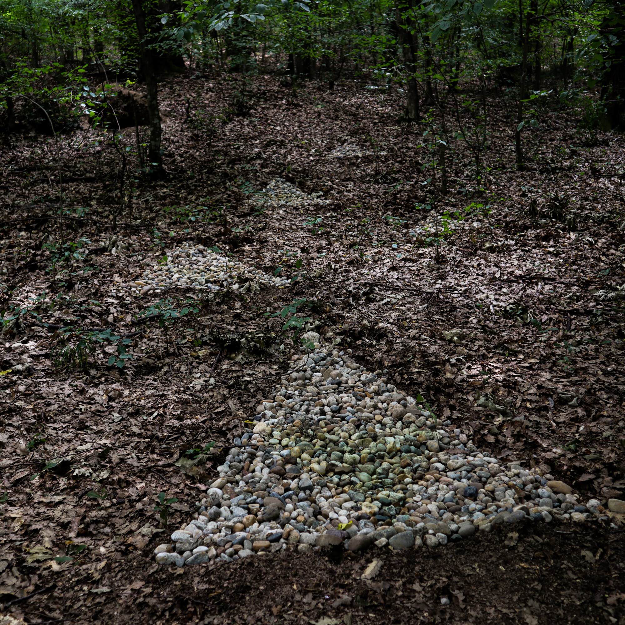 Gabrovtsi Art-Nature Symposium 2021