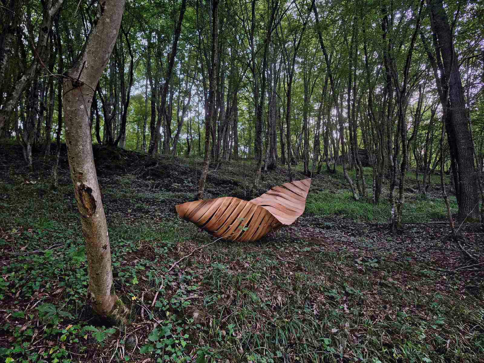 Aleksandra Angelova, Duppini, 2023