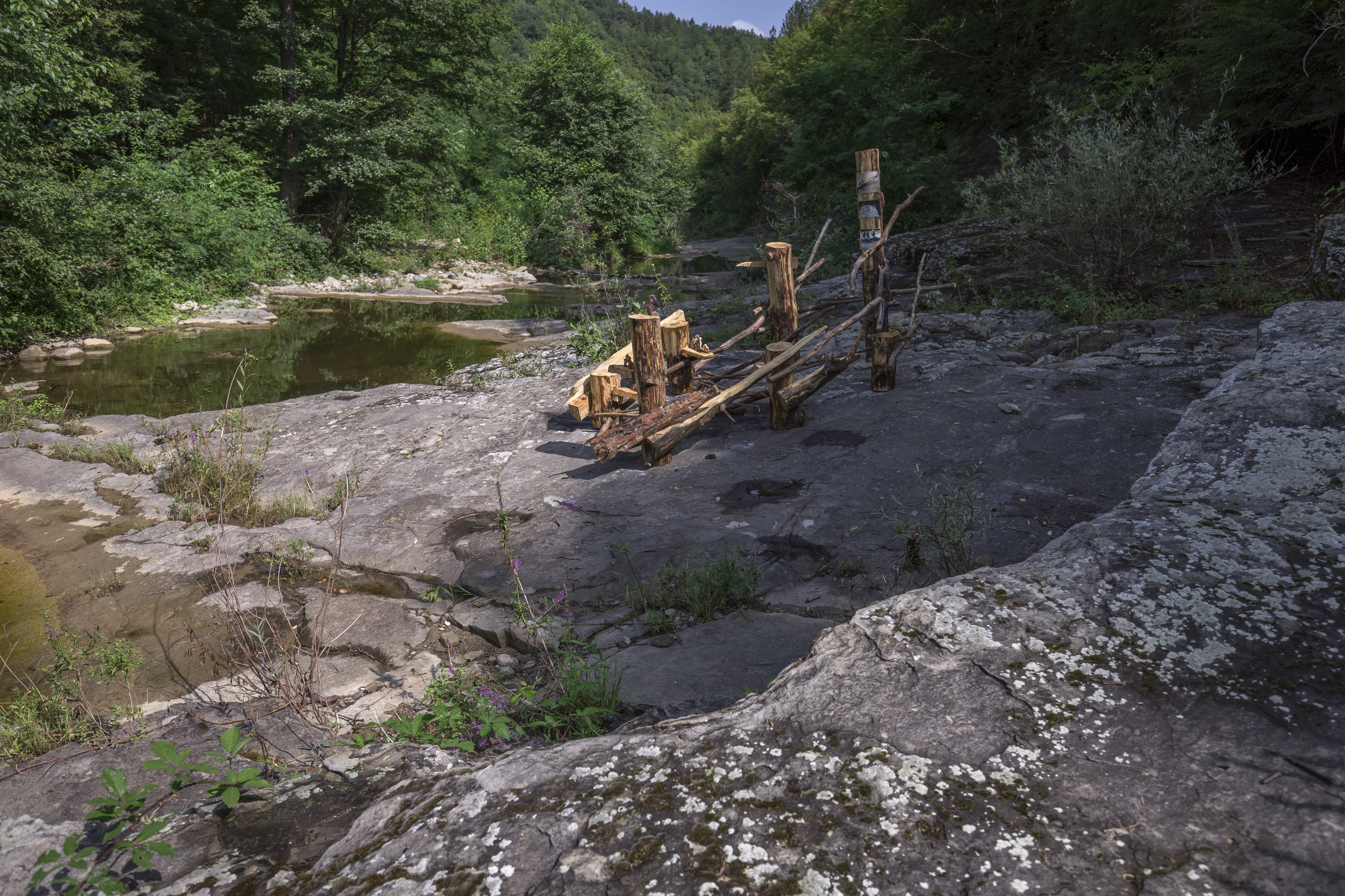 Bogomil Ivanov, Duppini, 2023