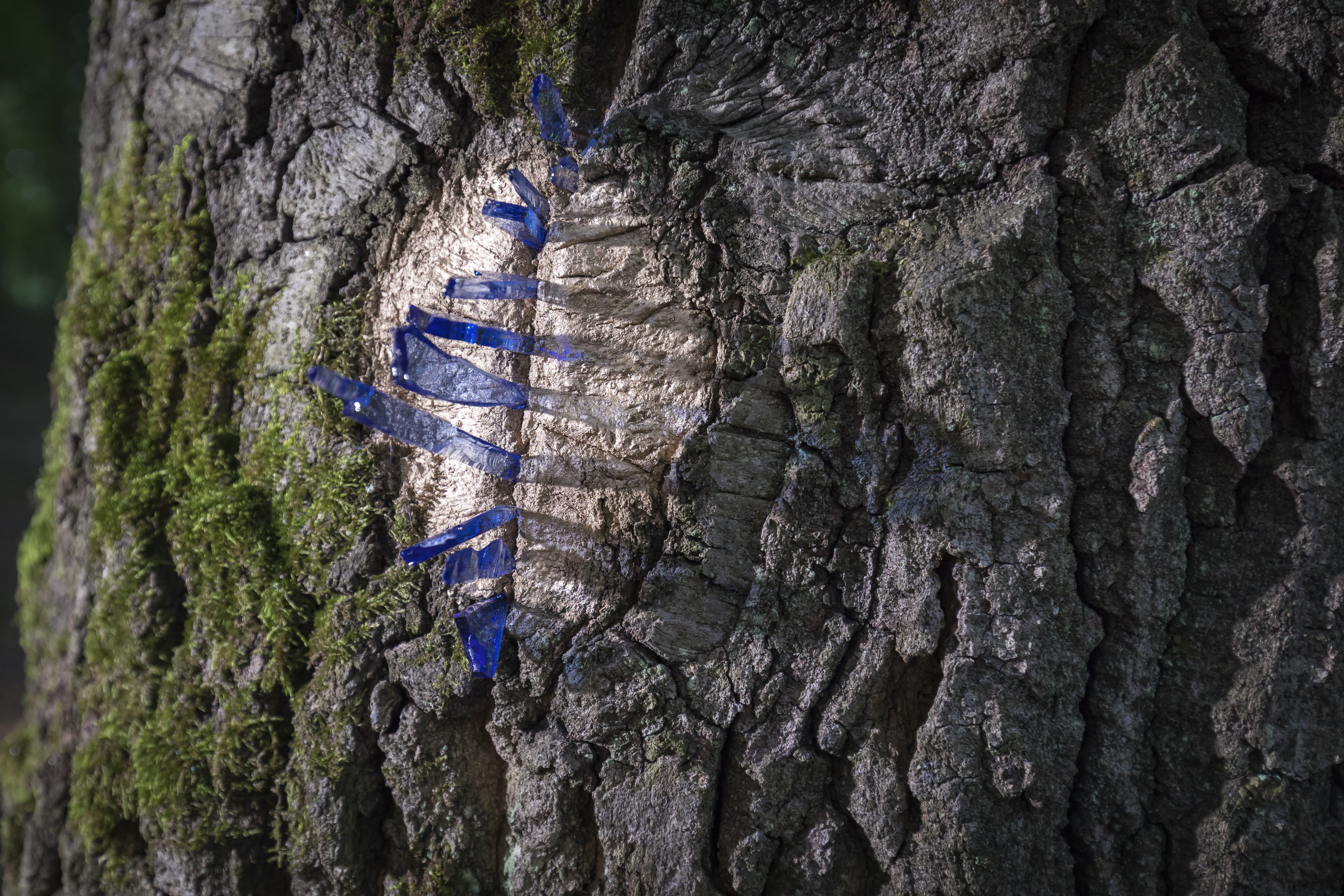 Lidiya Karkelanova, Duppini, 2023